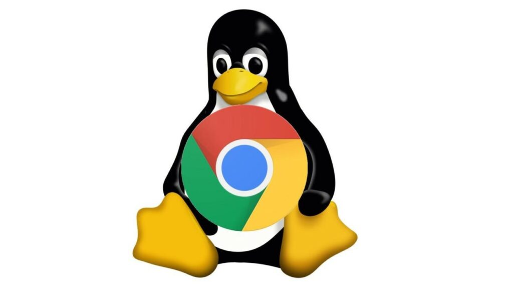 Immagine copertina backup Linux su Chromebook